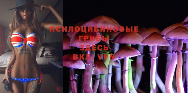 мяу мяу мука Богородицк