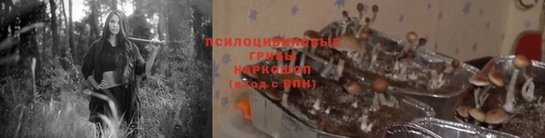 прущие крисы Бронницы