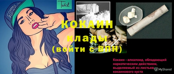 шишки Богданович