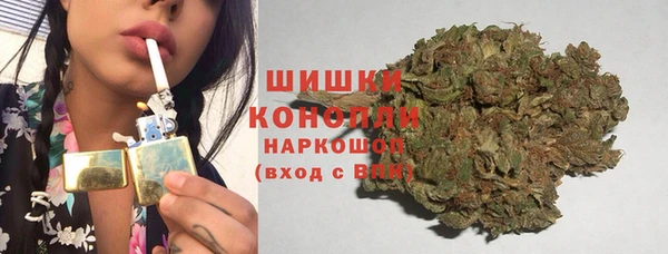 шишки Богданович