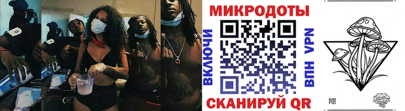 Купить где  Камешково  Псилоцибиновые грибы Psilocybe 